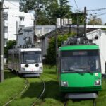 青空の下を行く308編成「幸福の招き猫電車」／2023年1月29日 松原〜山下間