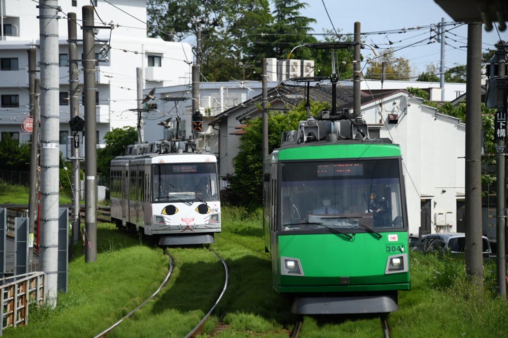 山下駅付近で並ぶ308編成「幸福の招き猫電車」と304編成／2023年4月29日 松原〜山下間