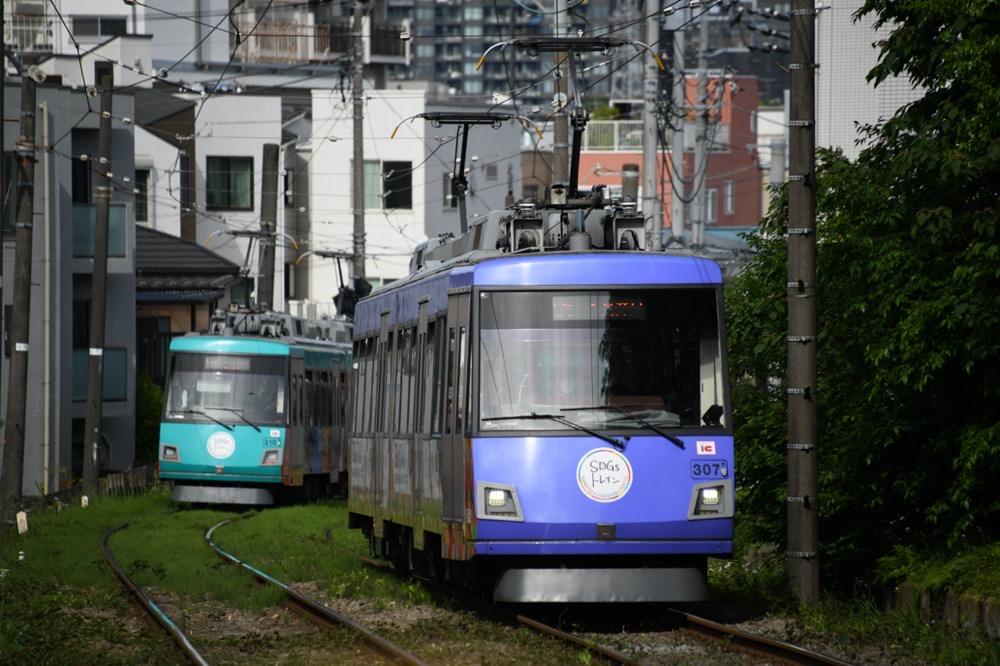 若林駅付近で310編成と307編成のSDGsトレイン同士が並ぶ／2023年4月29日 若林〜松陰神社前間