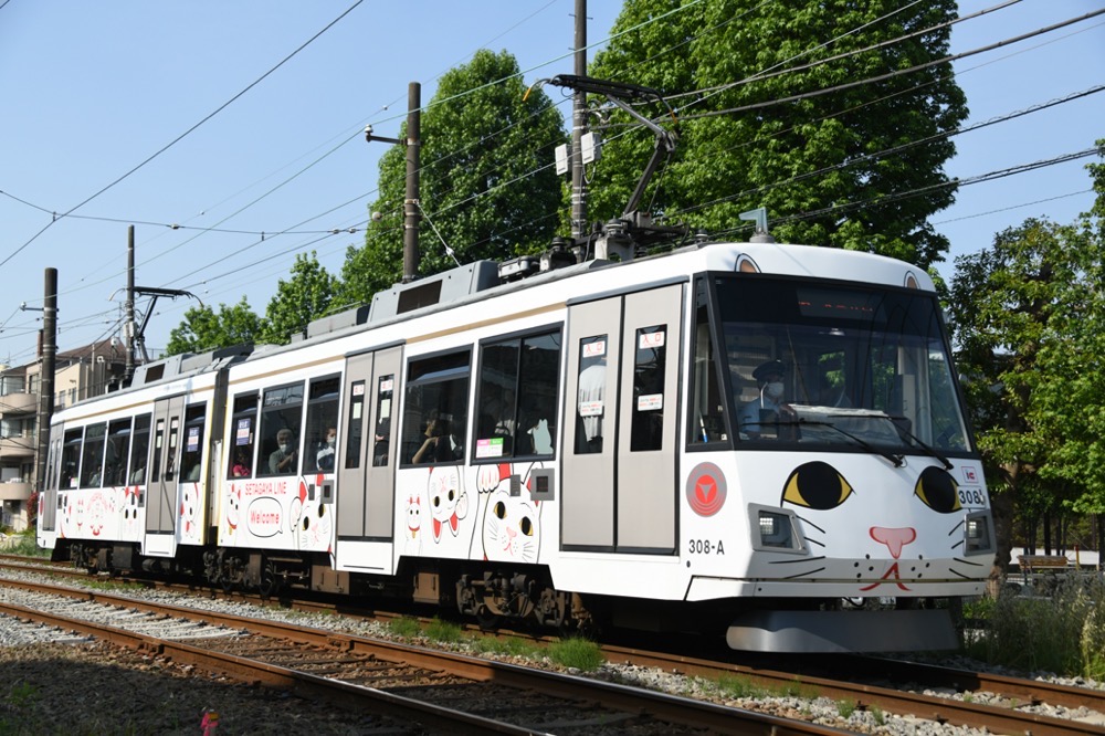 新緑の赤松公園を背景に走る308編成「幸福の招き猫電車」／2023年5月18日 松原〜下高井戸間