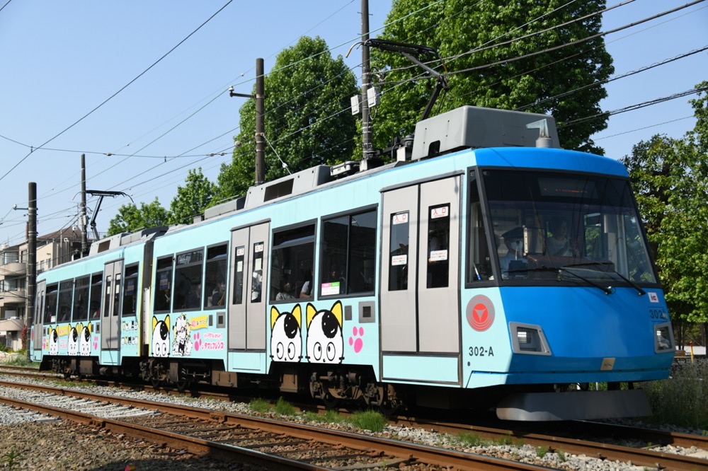 新緑の赤松公園を背景に走る302編成「タマ・フレンズ40周年」／2023年5月18日 松原〜下高井戸間