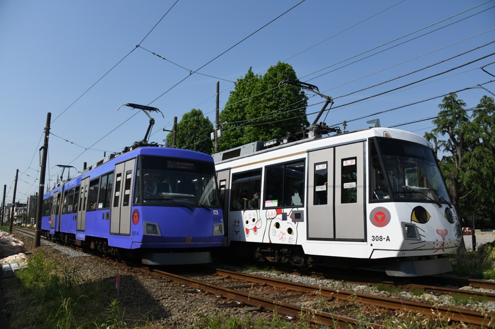 新緑の赤松公園を背景にすれ違う307編成と308編成「幸福の招き猫電車」／2023年5月18日 松原〜下高井戸間