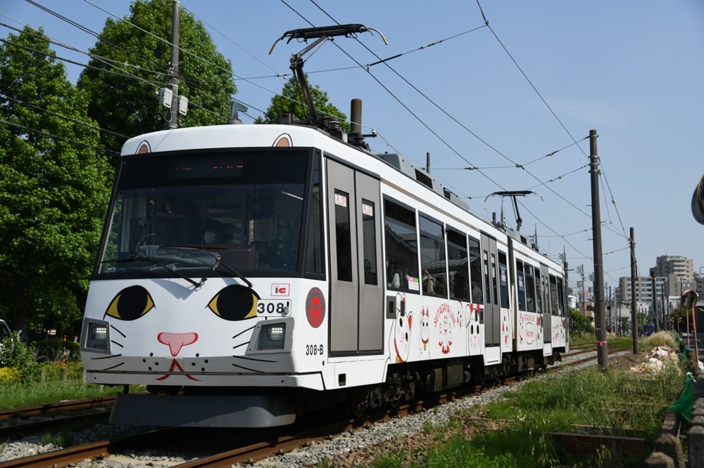 新緑の赤松公園を背景に走る308編成「幸福の招き猫電車」／2023年5月18日 下高井戸〜松原間