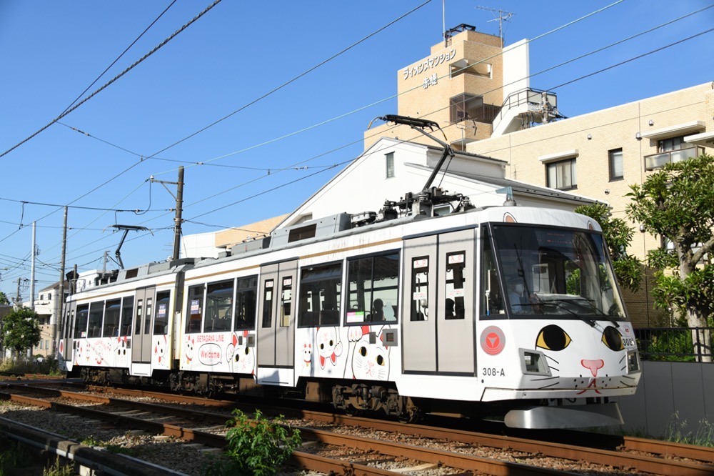 下高井戸へ向かう308編成「幸福の招き猫電車」／2023年6月4日 松原〜下高井戸間