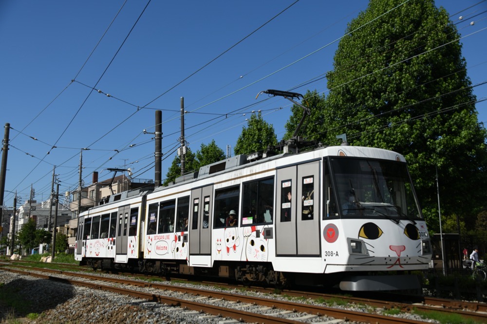 新緑の赤松公園を背景に走る308編成「幸福の招き猫電車」／2023年6月4日 松原〜下高井戸間