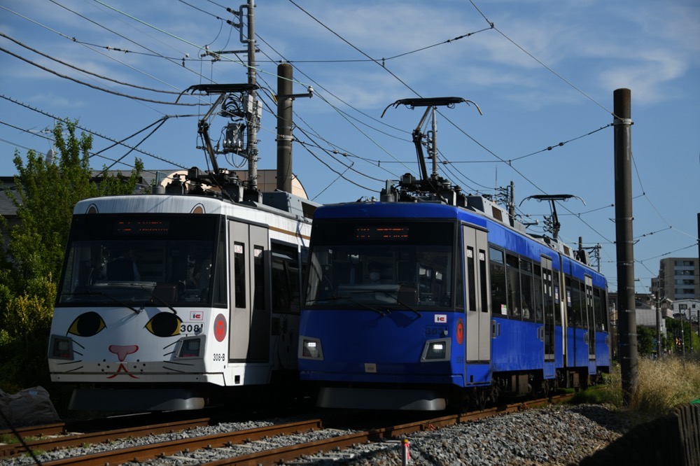 308編成「幸福の招き猫電車」と303編成のすれ違い／2023年6月4日 下高井戸〜松原間