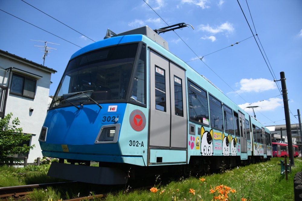 山下を発車した302編成「タマ・フレンズ40周年」／2023年7月2日 松原〜山下間