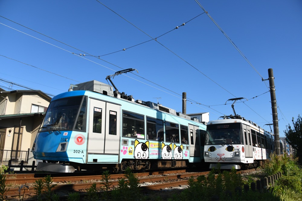 302編成と308編成の"猫"電車同士のすれ違い／2023年7月24日 松原〜下高井戸間