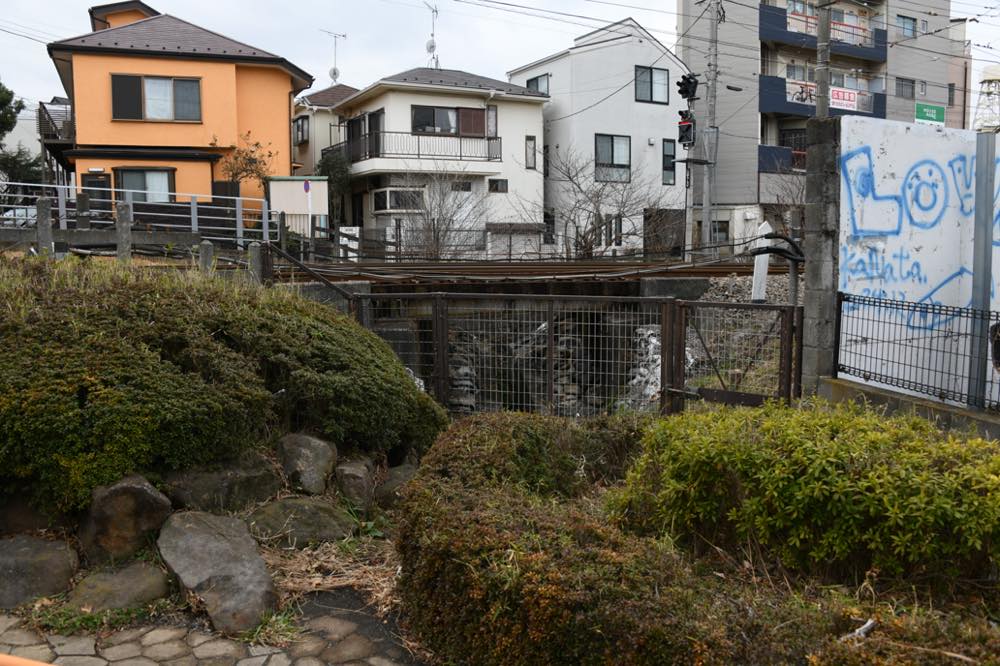 宮前開渠（北沢川支流）山側／2025年2月3日 山下〜松原間