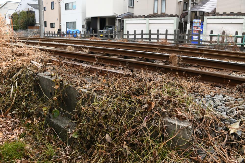 赤堤構渠（北沢川支流）海側／2025年2月3日 松原〜下高井戸間