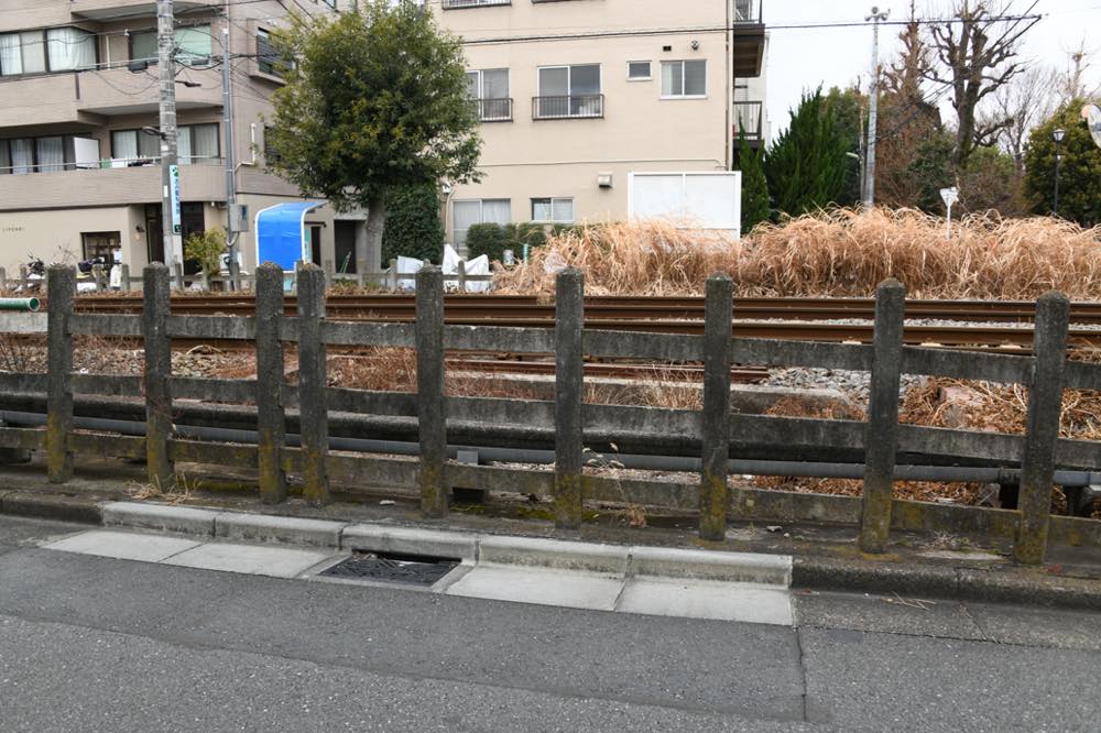 赤堤構渠（北沢川支流）山側／2025年2月3日 松原〜下高井戸間