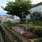 下りホーム裏のガーデントラム山下／2025年8月14日 山下駅